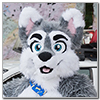 Eurofurence 2014 fursuit photoshoot. Preview picture of Marbles Woofy